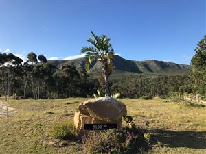 813 m² land for sale in Crossways Farm Village | T2932366
