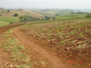 9 ha Land available in Tongaat Central