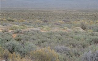 1116 m² Land available in Nieuwoudtville