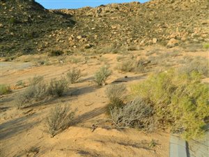 1259 m² Land available in Springbok
