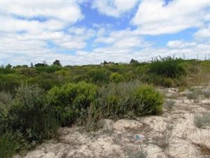 2820 m² Land available in Hopefield