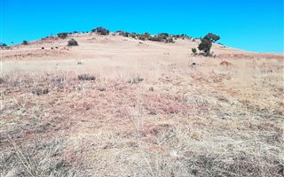 19 ha Land available in Hartzenbergfontein