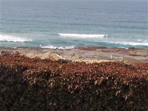 1347 m² Land available in Umzumbe