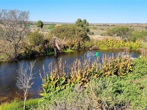 Farm in Lamberts Bay