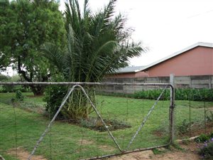 4 Bed House in Ottosdal