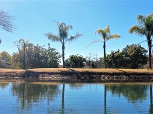 6 ha Farm in Modimole (Nylstroom)