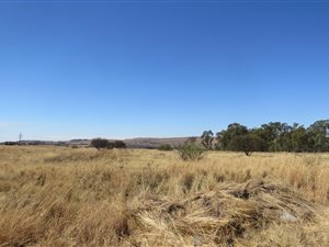 1.1 ha Land available in Walkerville