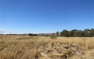 1.1 ha Land available in Walkerville