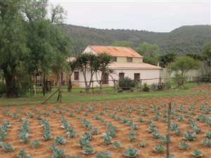 29 ha Farm in Grahamstown