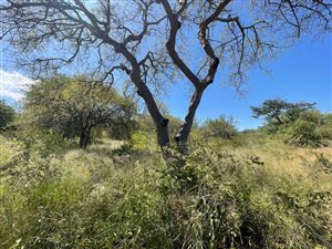 4159 m² Land available in Zandspruit Bush and Aero Estate