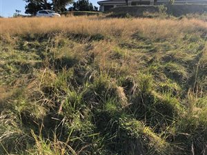 900 m² Land available in Adams Mission
