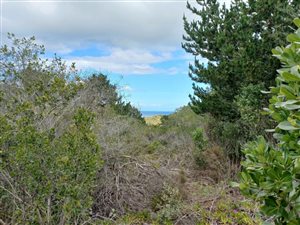 2.4 ha Land available in Wilderness