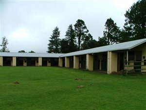 150 ha Farm in Mooi River