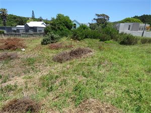 736 m² Land available in Seaside Longships