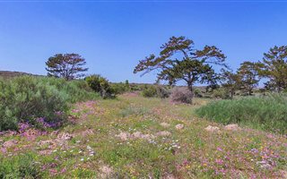 600 m² Land available in Langebaan Central