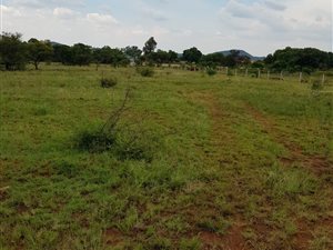 2 ha Land available in Winternest