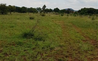2 ha Land available in Winternest