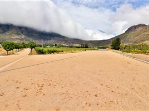 29 ha Farm in Franschhoek