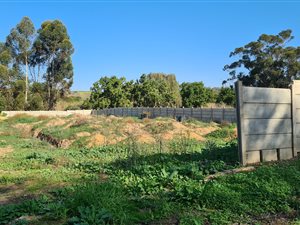 1207 m² Land available in Heidelberg