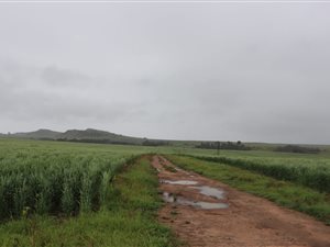 428 m² Farm in Bethlehem