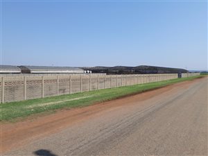9 ha Farm in Klippoortje