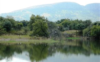 776 m² Land available in Leloko