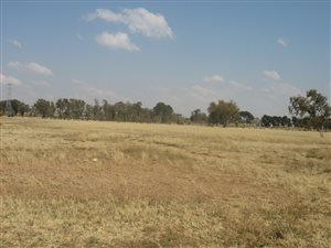 1 ha Land available in Martindale
