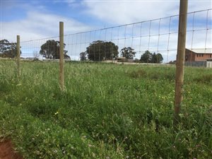 6231 m² Land available in Klipheuwel