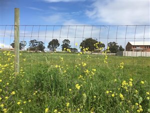 6231 m² Land available in Klipheuwel