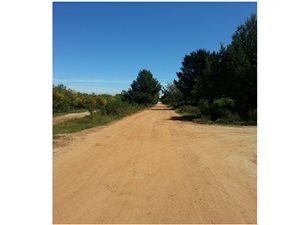 4.4 ha Farm in Morningstar