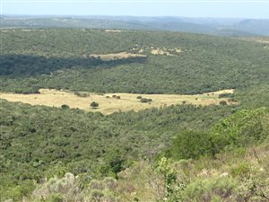 947 ha Farm in Port Alfred