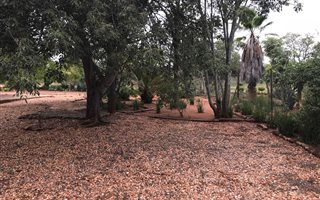 2.2 ha Smallholding in Dalmada AH