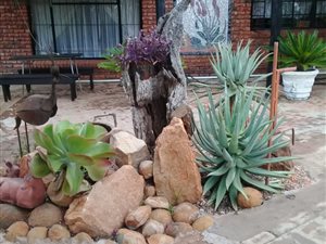 Farm in Musina