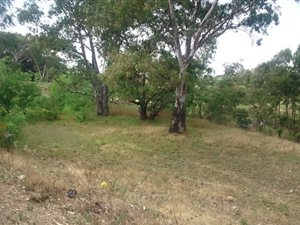 8865 m² Land available in Alberton