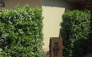 3 Bedroom Duplex in Polokwane Central
