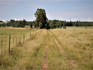 5.5 ha Farm in Rayton