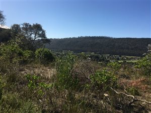1908 m² Land available in Sedgefield