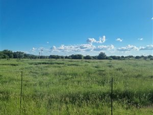339.3 ha Farm in Jacobsdal Rural
