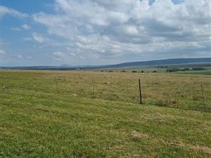 3.3 ha Land available in Hutten Heights