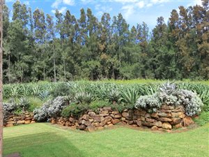 20.5 ha Farm in Dargle