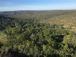 131 ha Farm in Port Alfred