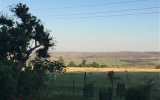 183 ha Farm in Middelburg Central