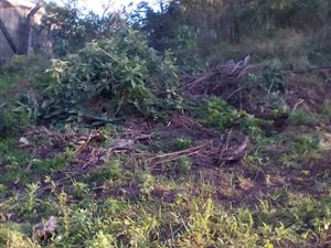 1512 m² Land available in Nagina