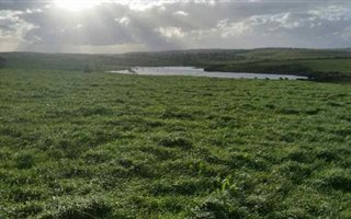 393.8 ha Land available in Haga Haga