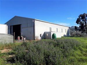 1175 m² Industrial space in Paarl