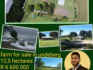 12.5 ha Land available in Underberg