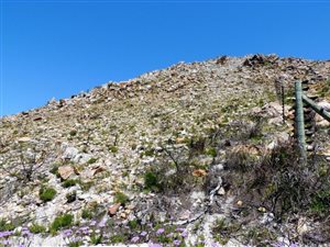 1425 m² Land available in Rooi Els