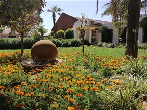 2 ha Farm in Dalmada AH