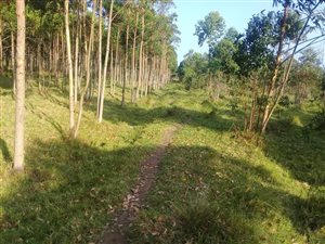 1200 m² Land available in Esikhawini