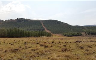 6 ha Farm in Newcastle Central